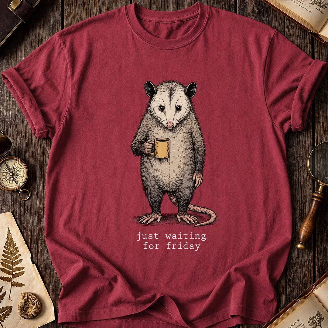 Friday Possum T-Shirt product image 4